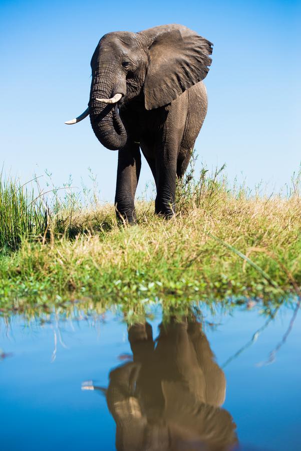 Royal Zambezi Lodge Mafuta Экстерьер фото